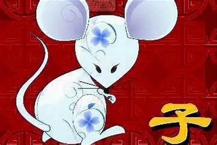 女属鼠婚配最忌什么属相？