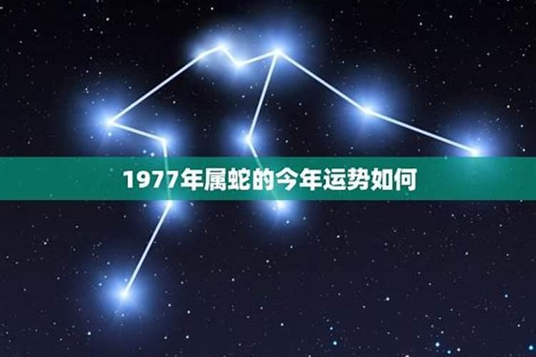 1977年蛇人九月运程如何？