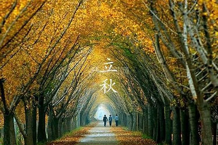 南方人立秋有什么习俗？