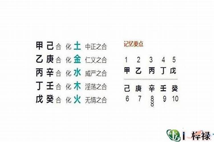 如何看争合的八字？