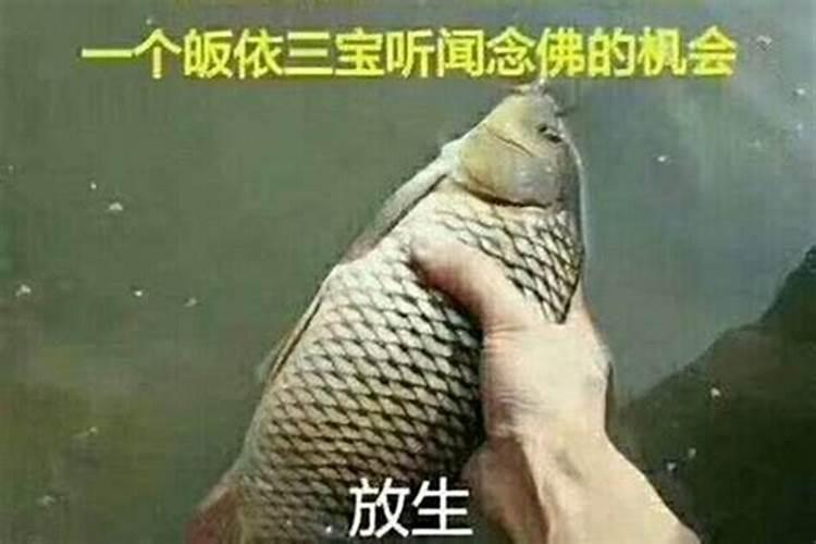 放生可以化解太岁吗？