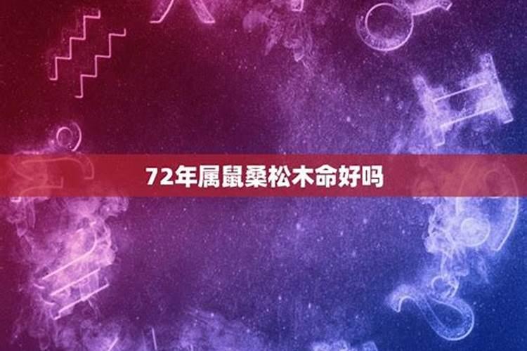 72桑松木命2025年运程