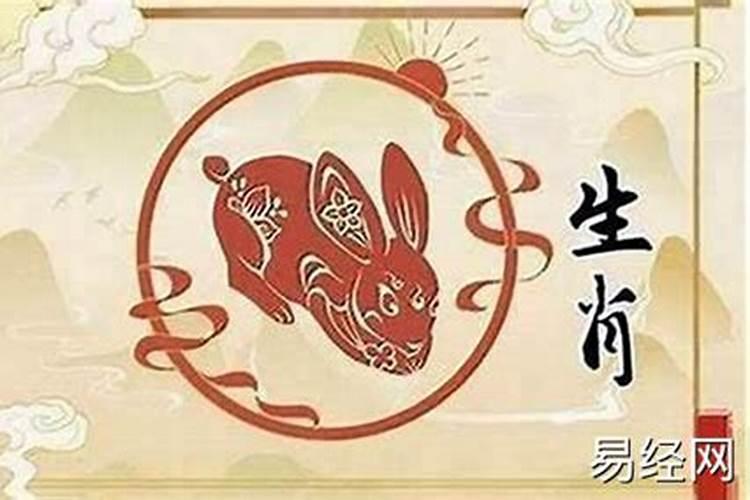 属兔的人出生时辰运势
