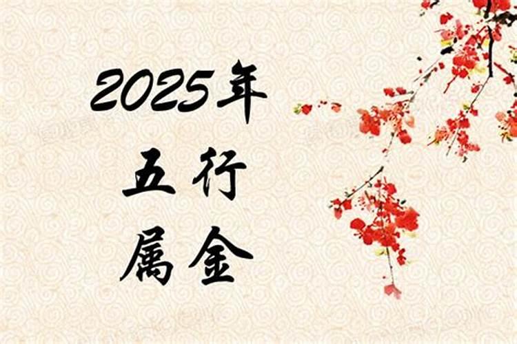 2025年是什么年什么命？