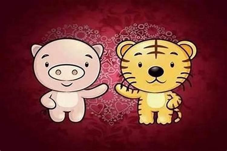 猪和虎的属相合婚吗？