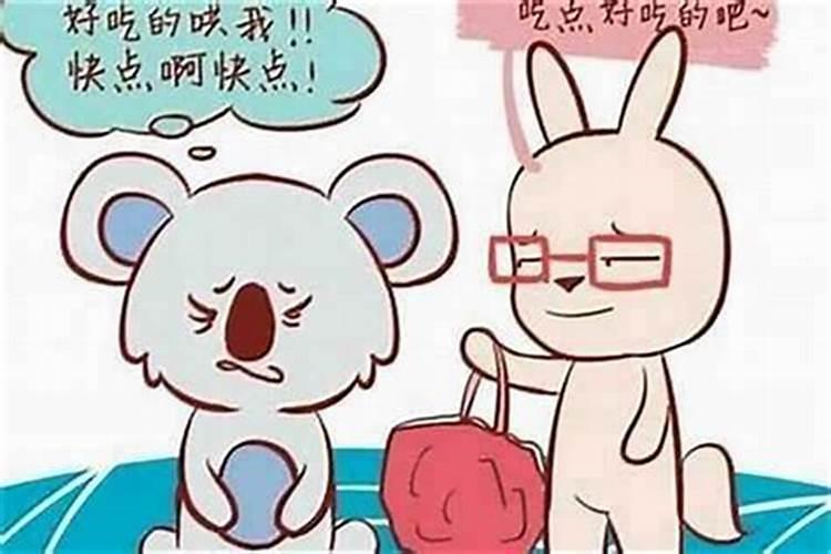 男鼠女兔会合婚吗？