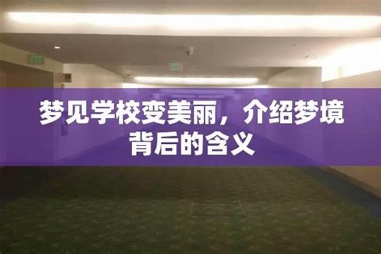 梦见漂亮的学校