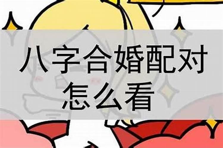 怎么用八字合婚？