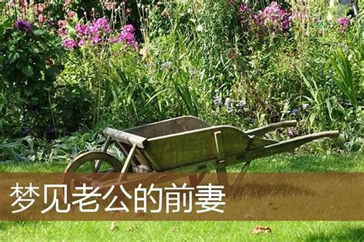 梦见老公他前妻是啥意思？