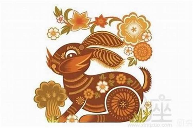 今年99年属兔的运程