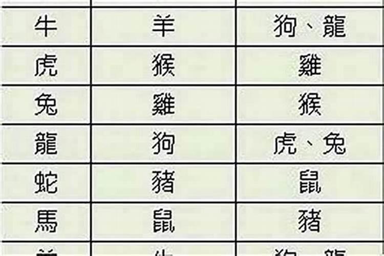女马最佳婚配属相是什么？
