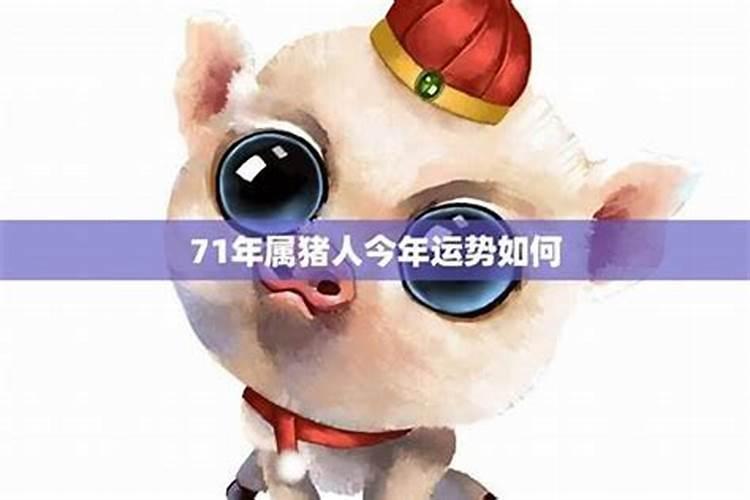 2025年属猪人7月运程如何？