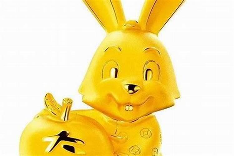 属兔的今年运势好吗？
