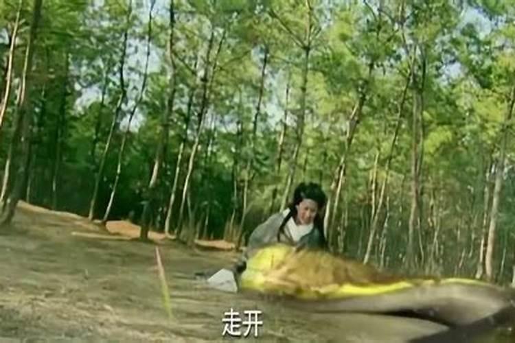 梦到自己下身变成蛇尾