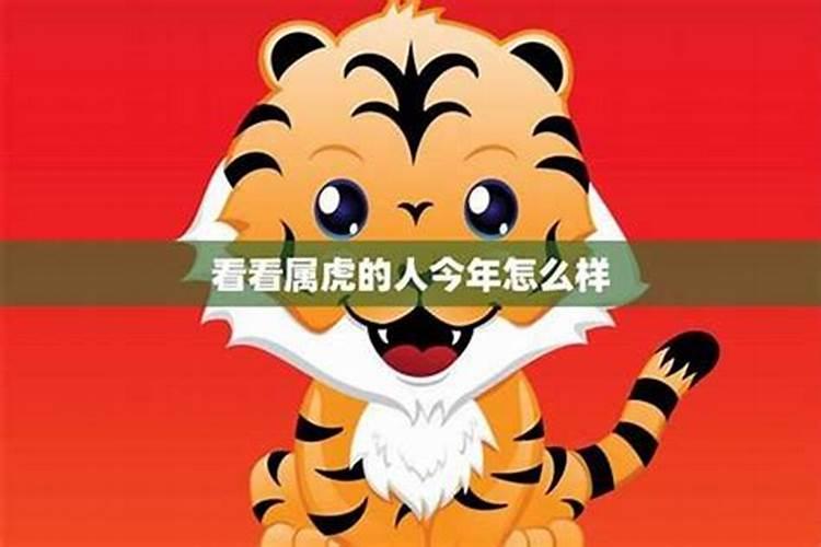 7月属虎运势如何？