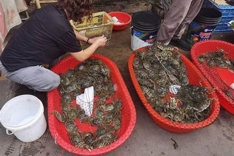 腊月卖螃蟹好不好？