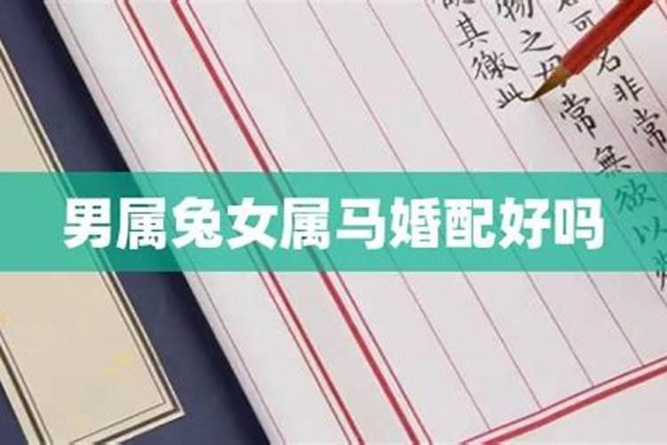 女马男兔属相婚配好吗？