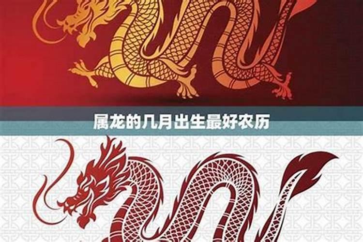 属龙和属蛇的生辰八字合不合