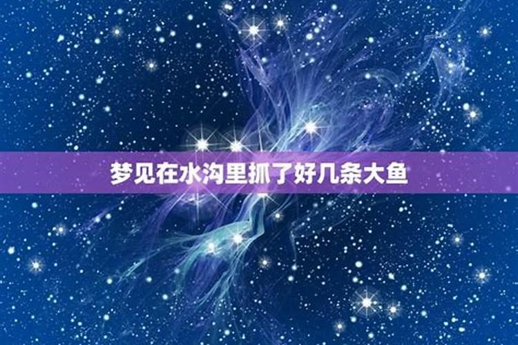 梦见清澈的水里有好几条大鱼？