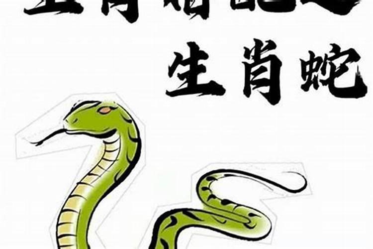 属蛇的最好婚配是哪个属相？
