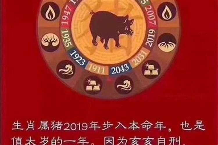 2025年猴年犯太岁吗？