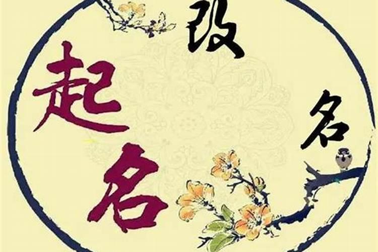 三月十五的女人命运