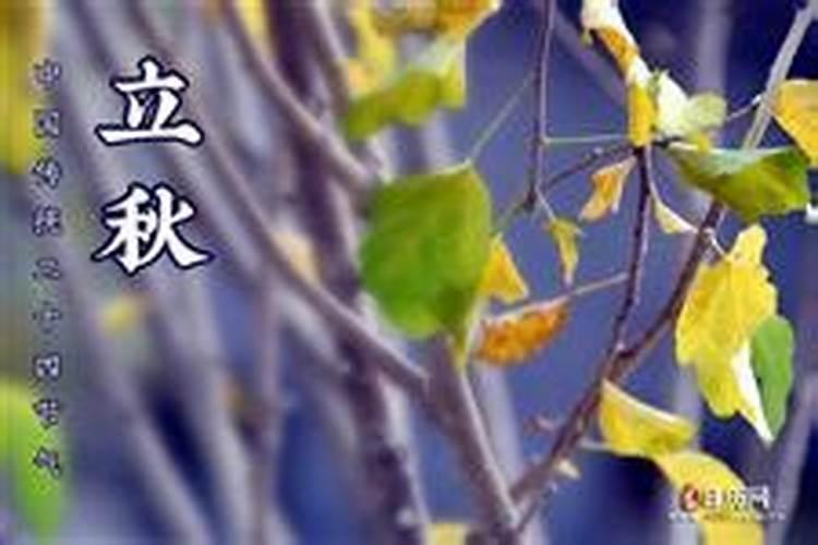 二一年几月几号立秋？
