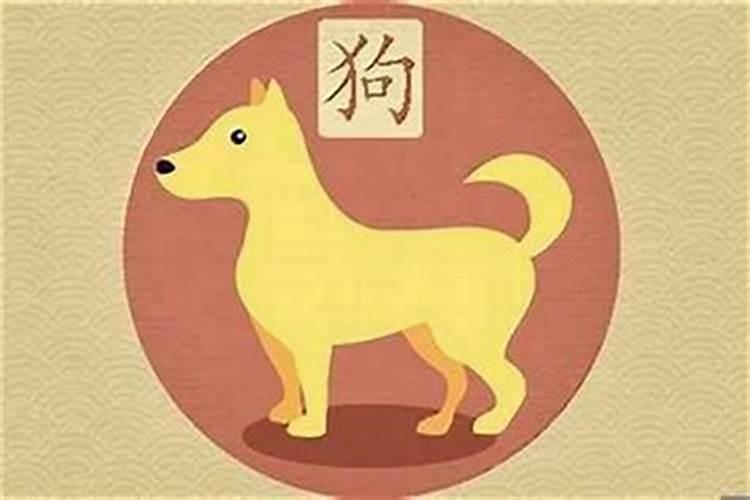 虎跟狗八字合吗？