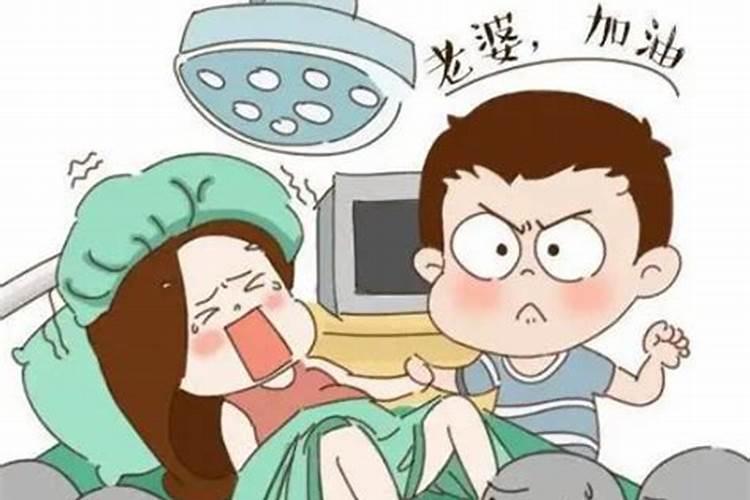 梦见前夫的老婆生孩子了