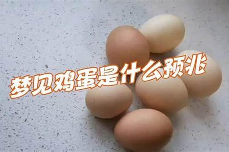 梦见鸡蛋是什么预兆？