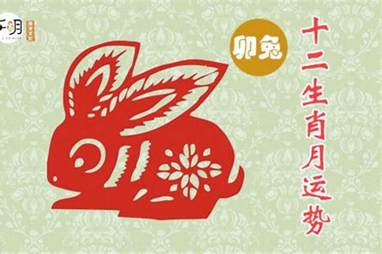 87属兔今年运势如何？