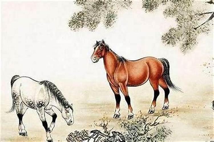 属马的人和属猫的八字合吗？