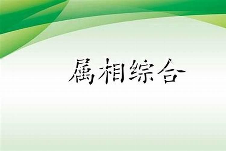 属牛女人婚姻2026年运势运程