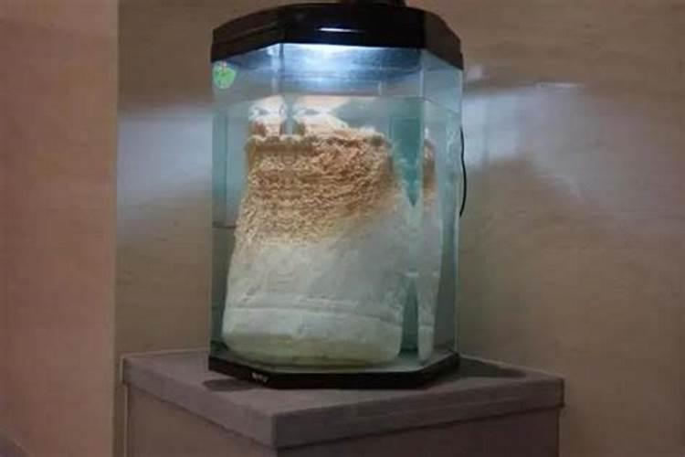 太岁在土里会移动吗？