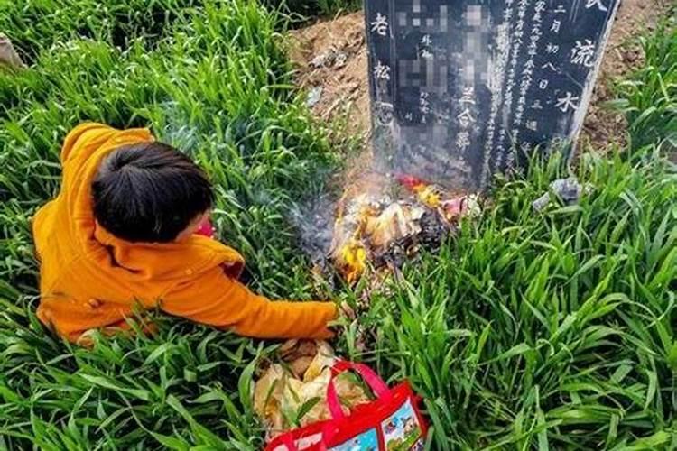 禁止清明节烧纸