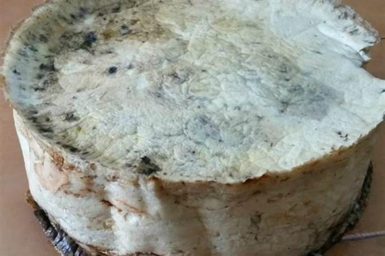 太岁多久换一次水？