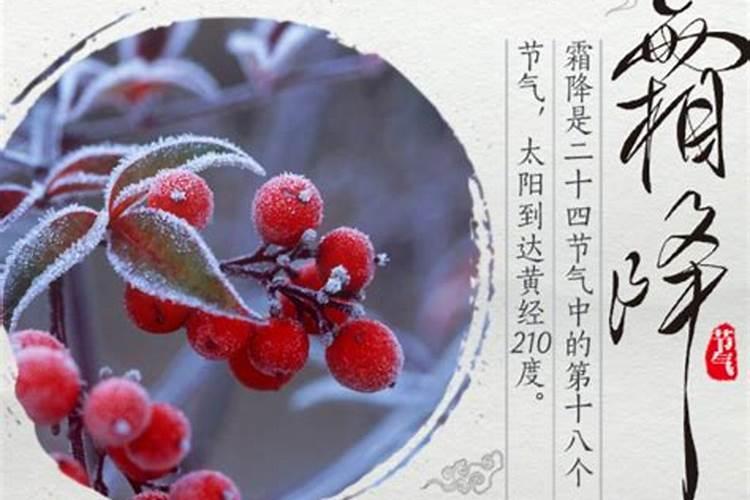 霜降是几月几日2026年立冬？