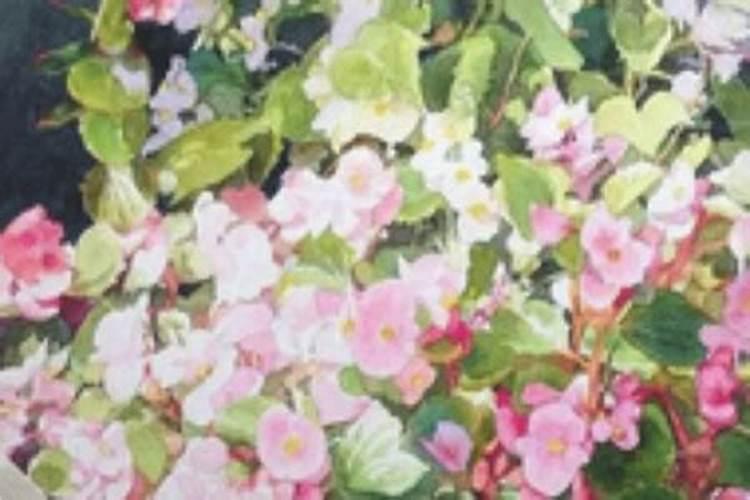 农历九月初九是否黄道吉日？