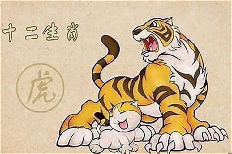 属相婚配女虎男牛怎么样？