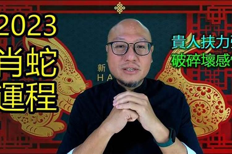 肖蛇42岁男2026年运程