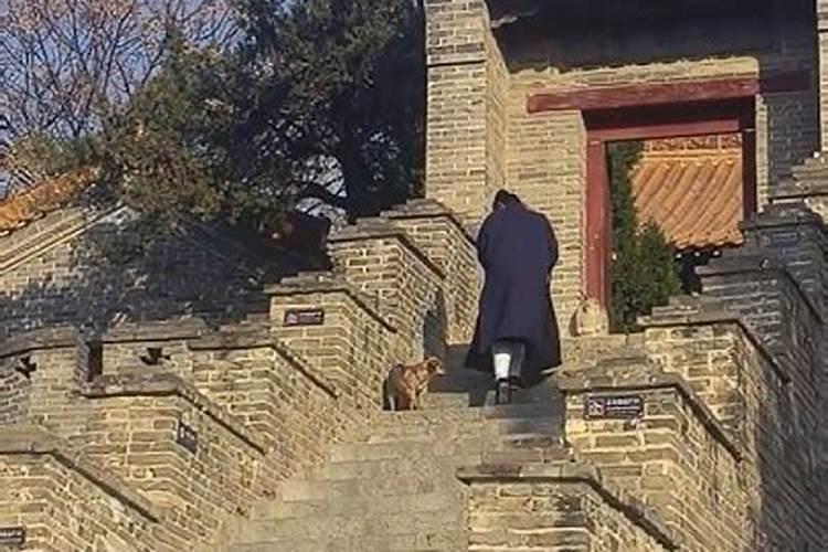 为什么精气外泄会影响运势？