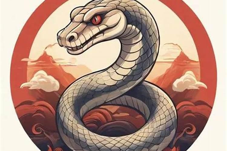 属蛇2026年运势走向