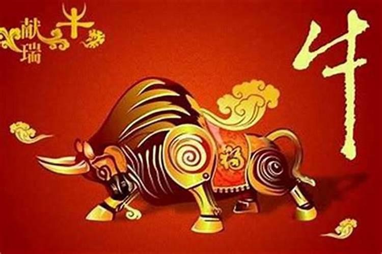 害太岁如何化解生肖牛？