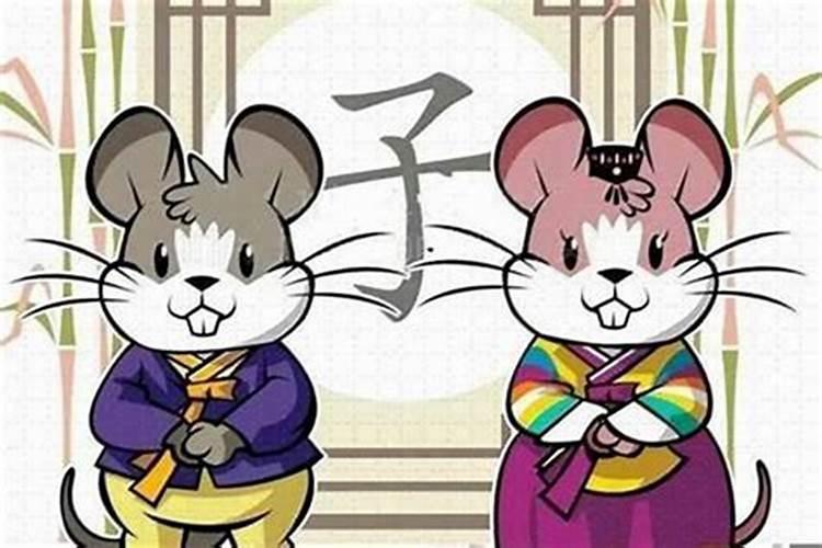 属鼠和属猴八字合吗？