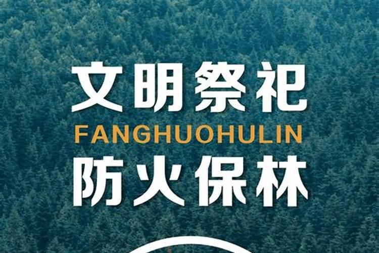 清明节森林防火注意哪些？