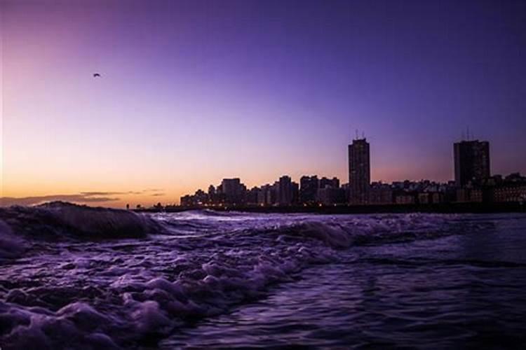 12月属狗2026年运势如何？