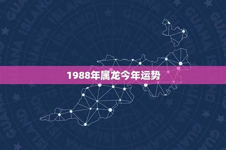 1988月份运势怎么样？