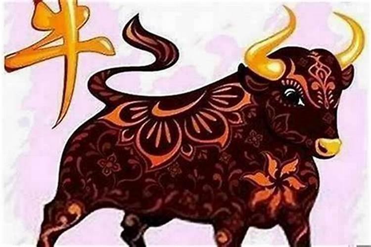 马人在狗年的运势如何？