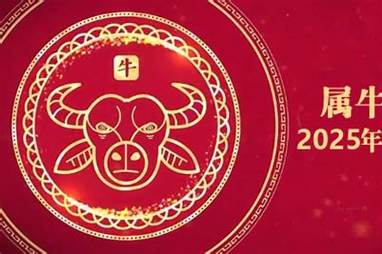 2026年8月属牛人运势如何？