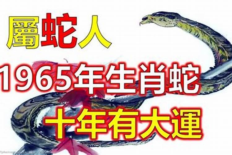 1965年蛇今年12月份运程